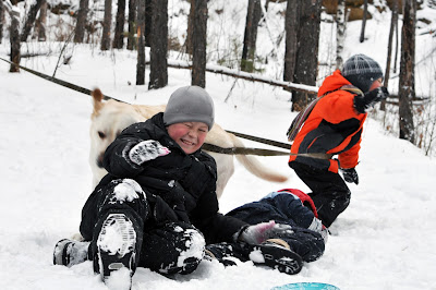 Дети играют зимой с лабрадором