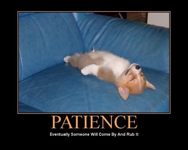 3366863-patience.jpg