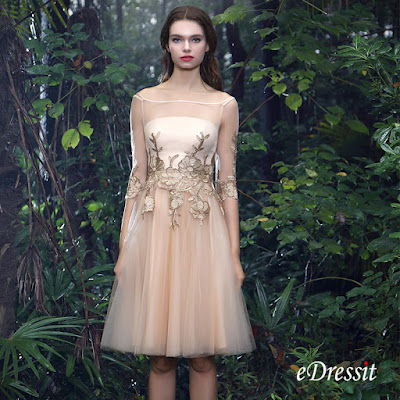 http://www.edressit.com/edressit-champagne-half-sleeves-cocktail-dress-with-lace-appliques-04170824-_p4905.html