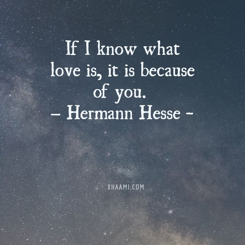 Love Quote of Hermann Hess