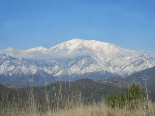 View northeast toward Mt. Baldy from Summit 3397