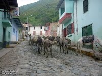 Foto pueblo de Ambar