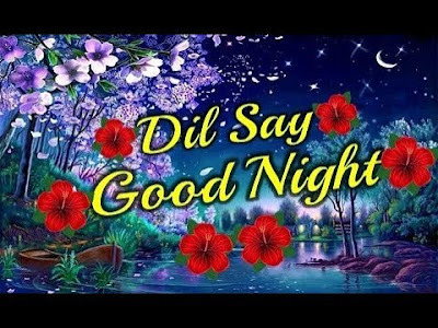 good night good night