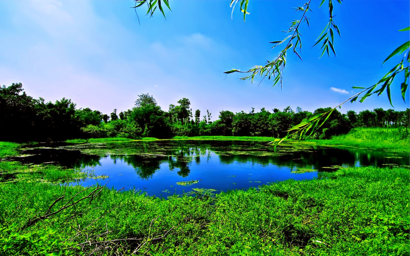 Install wine on mac yosemite mac