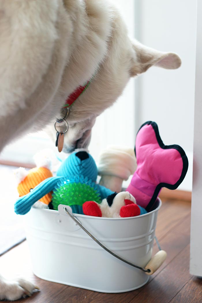 18 Genius Ways to Use a Caddy Organizer Sunny Day Family