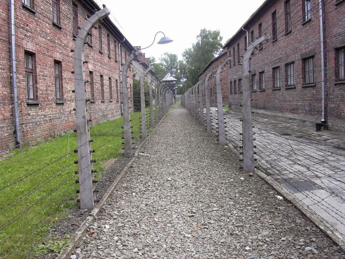 http://ca.wikipedia.org/wiki/Auschwitz