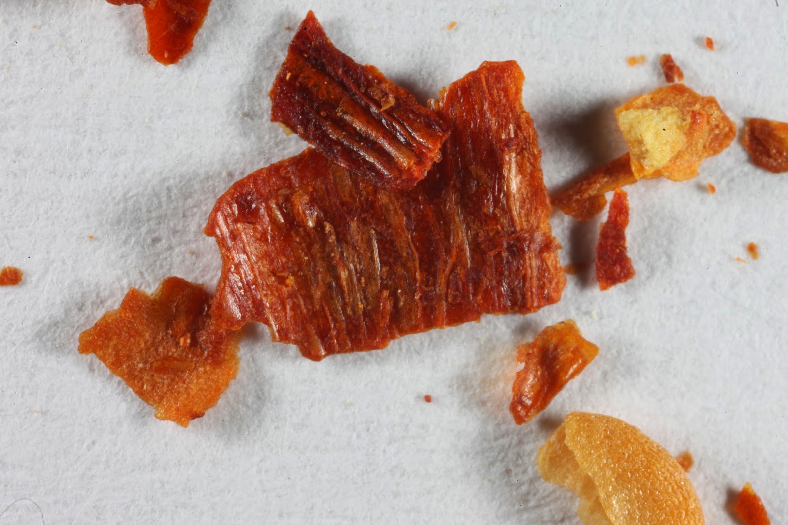 JaredDavidsonPhotography Extreme macro photographs of red pepper flakes