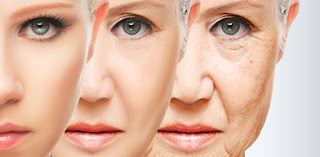 slow down ageing process