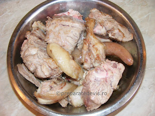 Carne de porc prajita retete culinare,