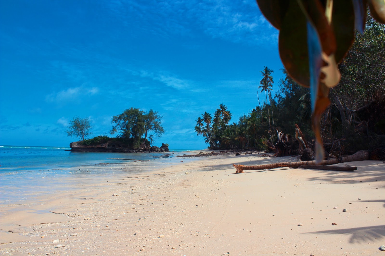 Wisata Ke Pantai Batu Kora, Tanggul – SiswaPelajar.com