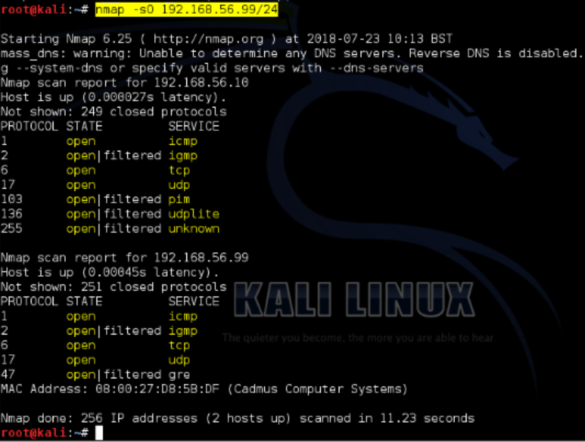 How to work with Nmap in Kali Linux