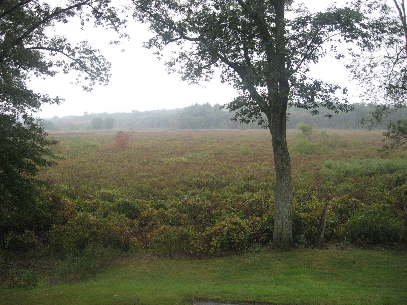 Exploring Massachusetts September 23rd 2011 Great Meadows National Wildlife Refuge and Haynes