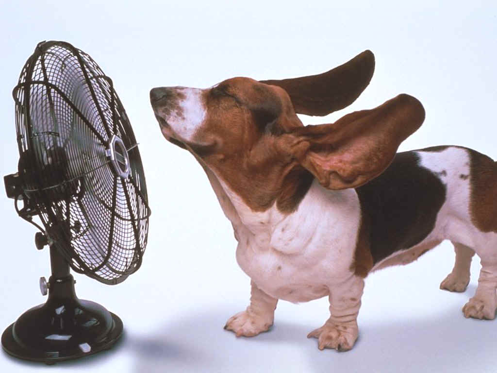 QueryTracker Blog The Cooling Off Period Handling Criticism Effectively