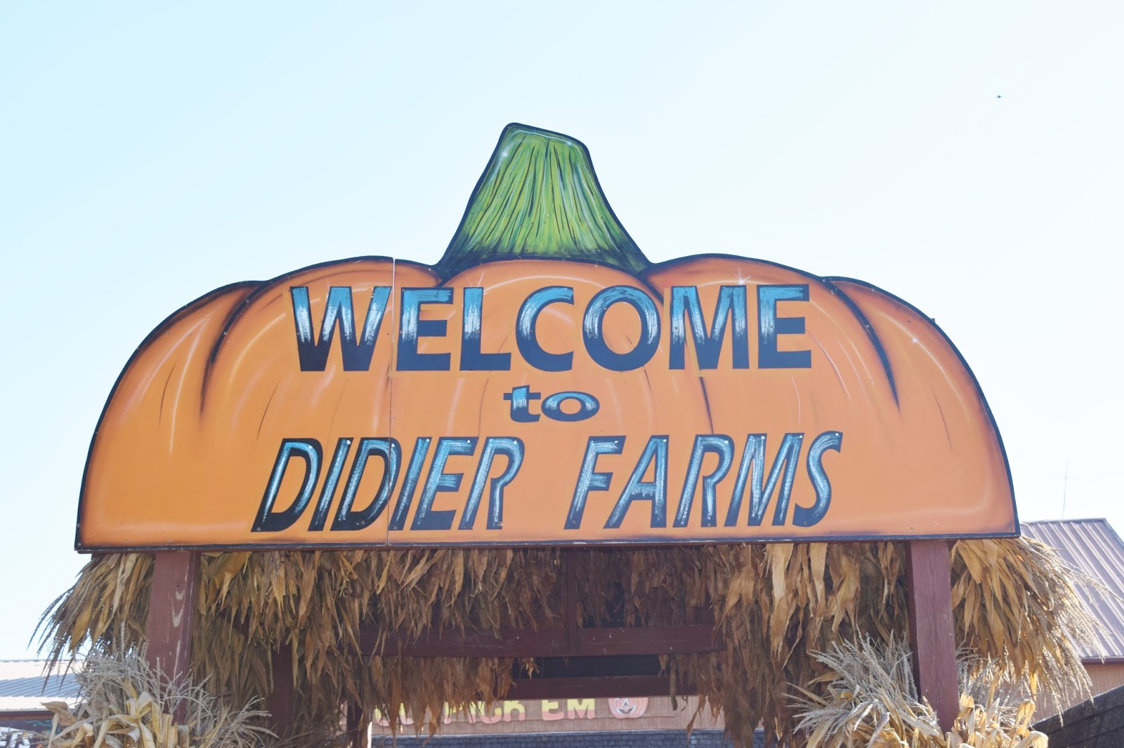 Pumpkin Picking at Didier Farms Floradise