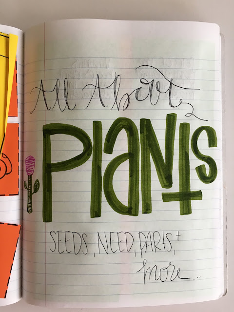 Parts of a Seed Classroom Activities | Priceless Ponderings