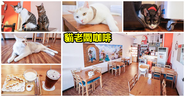 台中大里|貓老闆咖啡|寵物主題友善餐廳|平價美食|5個可愛的貓老闆陪客人用餐