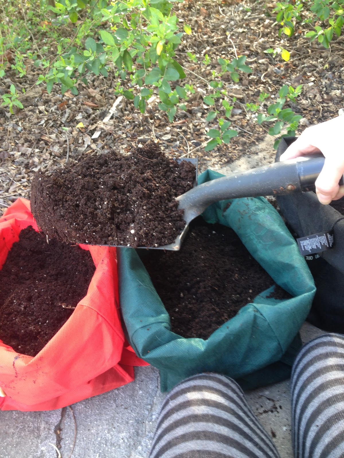 Pyramidcult Studios Blog DIY Potato Sacks! Growing Heirloom