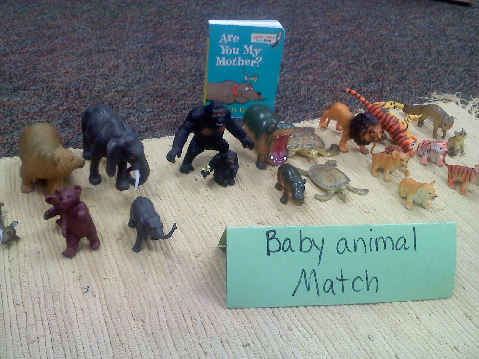 Coyne's Crazy Fun Preschool Classroom Create your own baby animal