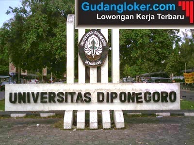 Lowongan Kerja Non CPNS Universitas Diponegoro