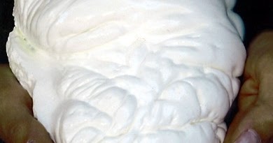 TYWKIWDBI ("Tai-Wiki-Widbee"): The "Pearl of Allah"