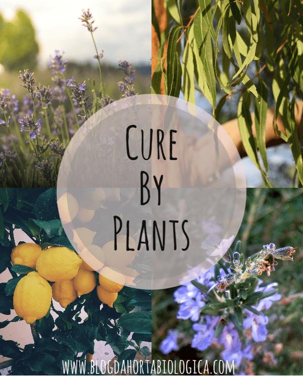 Cure By Plants