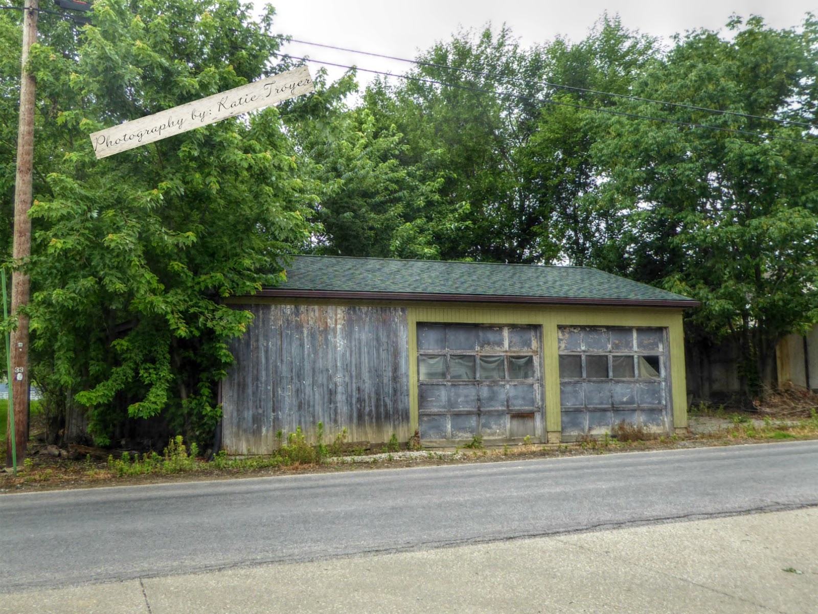 PinecraftSarasota Apple Creek and Mt Eaton