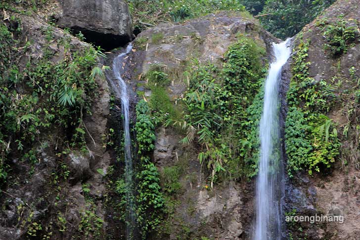 curug sibedug petungkriyono pekalongan