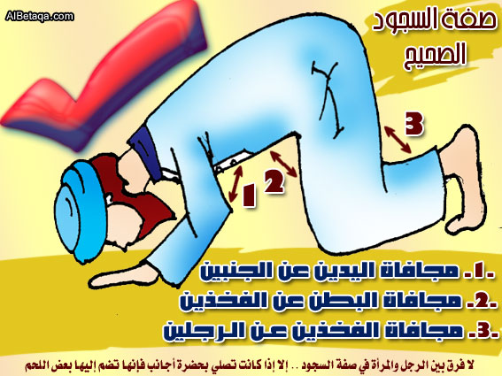 بالصور صفة السجود الصحيحة بإذن الله l بالصور صفة السجود الصحيحة بإذن ...