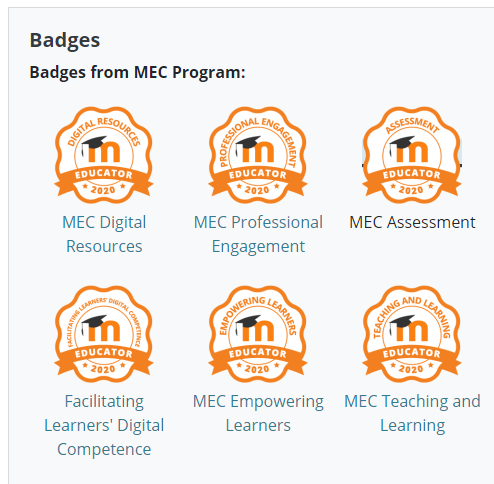 MEC Badges Earned