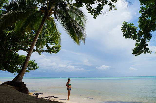 Palau; wyspy; raj; heaven; islands; palms, sea, ocean