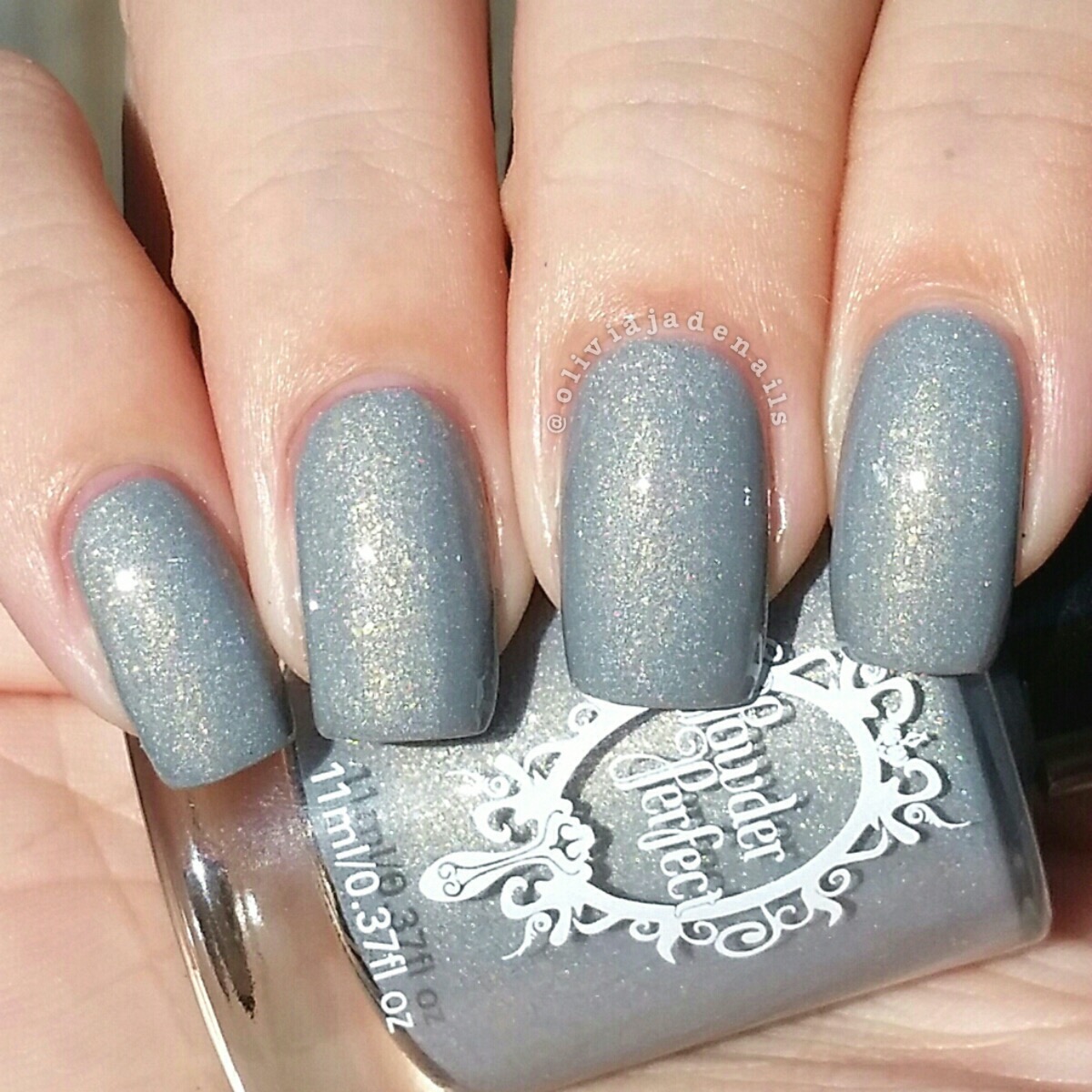 Powder Perfect Cinder Soot swatched by Olivia Jade Nails