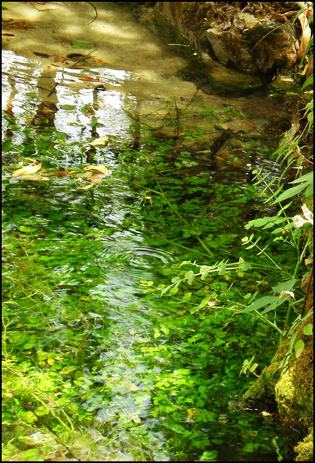 El Cofre de los Detalles