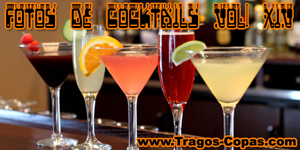 5 cocktails clásicos fotos