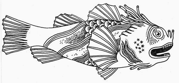animalsleepstories: fish drawing