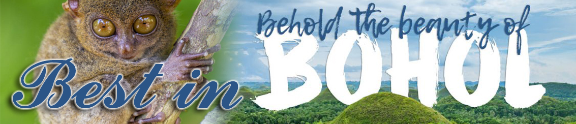 The Best Paradise of Bohol for Us
