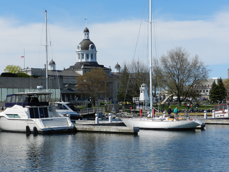 2 Caribous à Toronto WE Gananoque & Charleston Lake Provincial Park