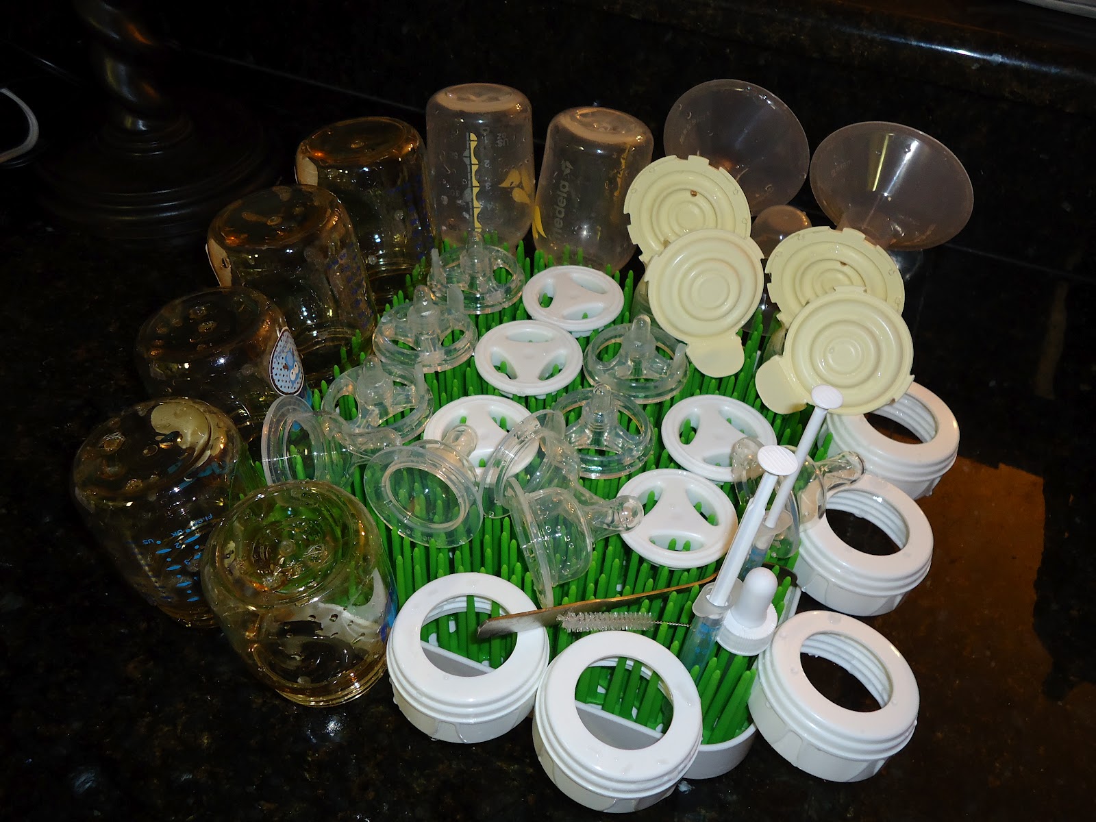 My Baby Didn't Read My Resume Grass Bottle Drying Rack