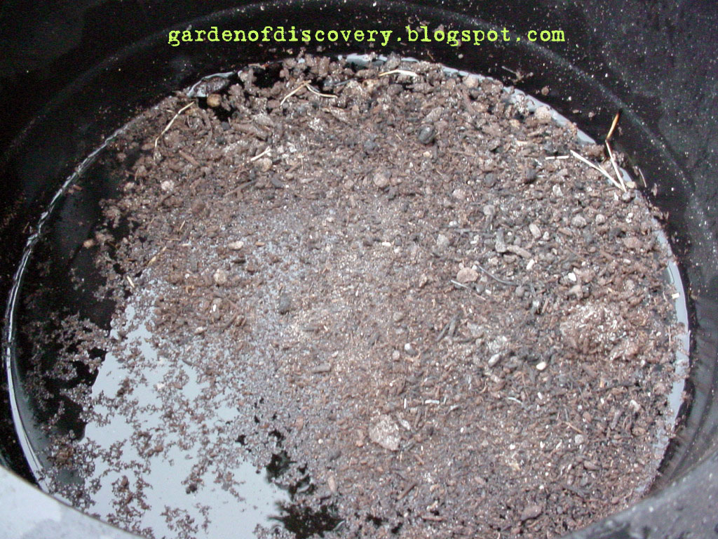 Garden of Discovery Fire In The Hole! Potting Soil Flammability Test