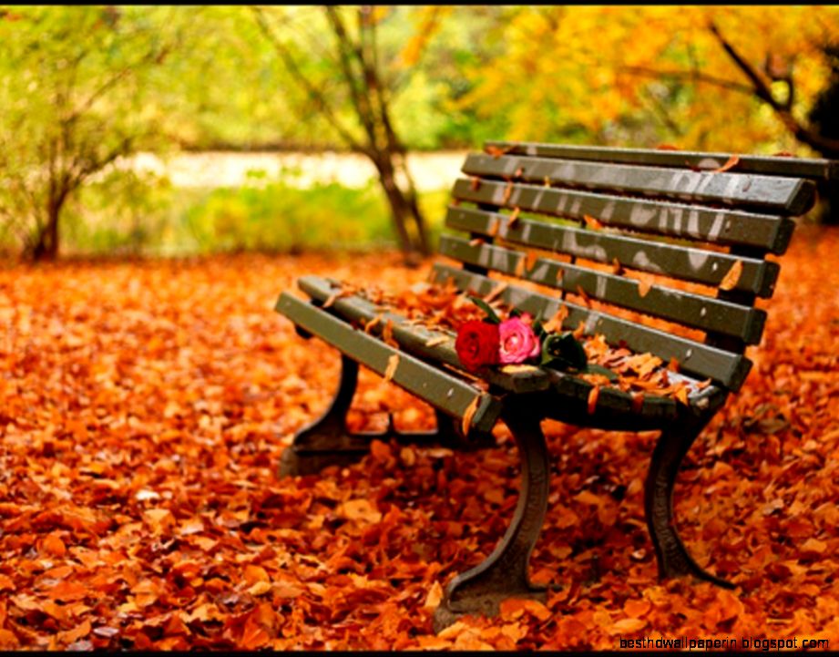 Romantic Autumn Wallpaper Fall