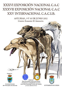 Cartel de las Exposiciones Nacionales e Intenacional de Asturias 2012