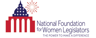 Constitution essay contest picture