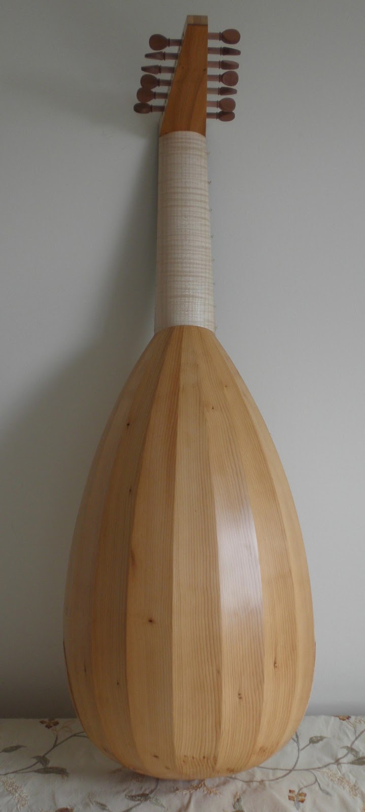 Buying a Lute Student Lute Guitar