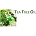 How To Seborrheic Dermatitis From Tea Tree Oil?