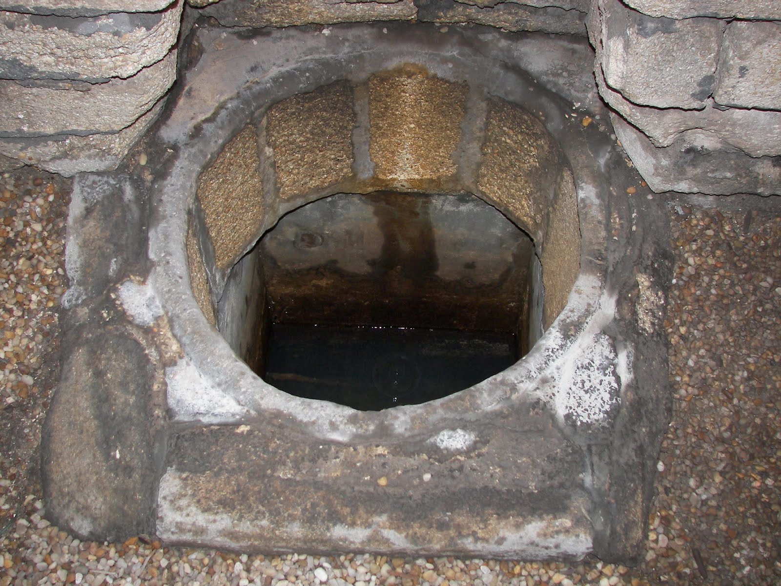 RAMBLINGS... THE FOUNTAIN OF YOUTH