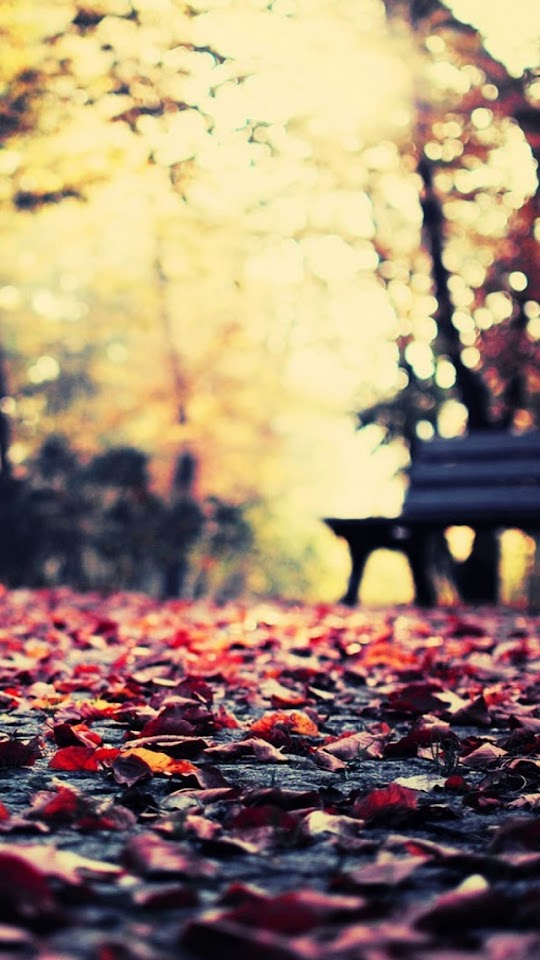 Autumn Leaves Park Bench  Galaxy Note HD Wallpaper Autumn Leaves Park Bench  Galaxy Note HD Wallpaper