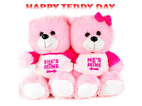 teddy day images, pink dress couple teddy bear made for each others, happy teddy day 2019