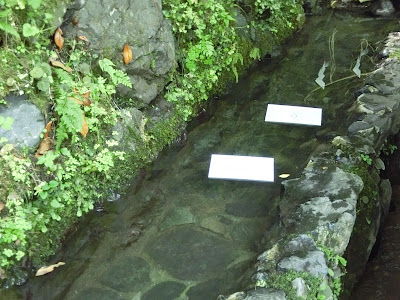 貴船 神社 水 占い