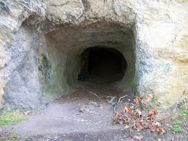 Dargan Cave and the limestone that was extracted was turned into hydraulic cement that was used on the structures on the canal.