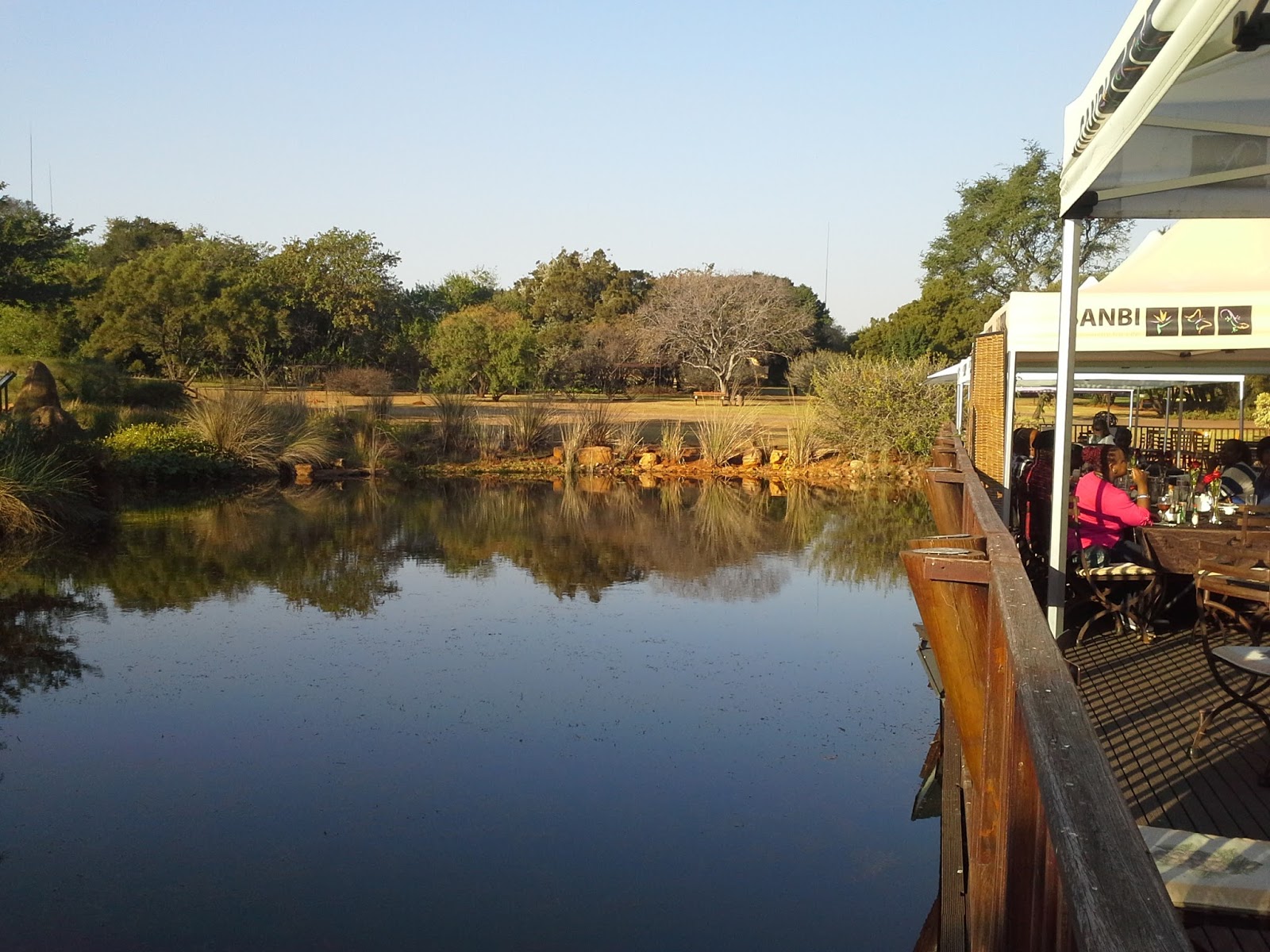 Go with Henry Sunset tea at the Pretoria Botanical gardens