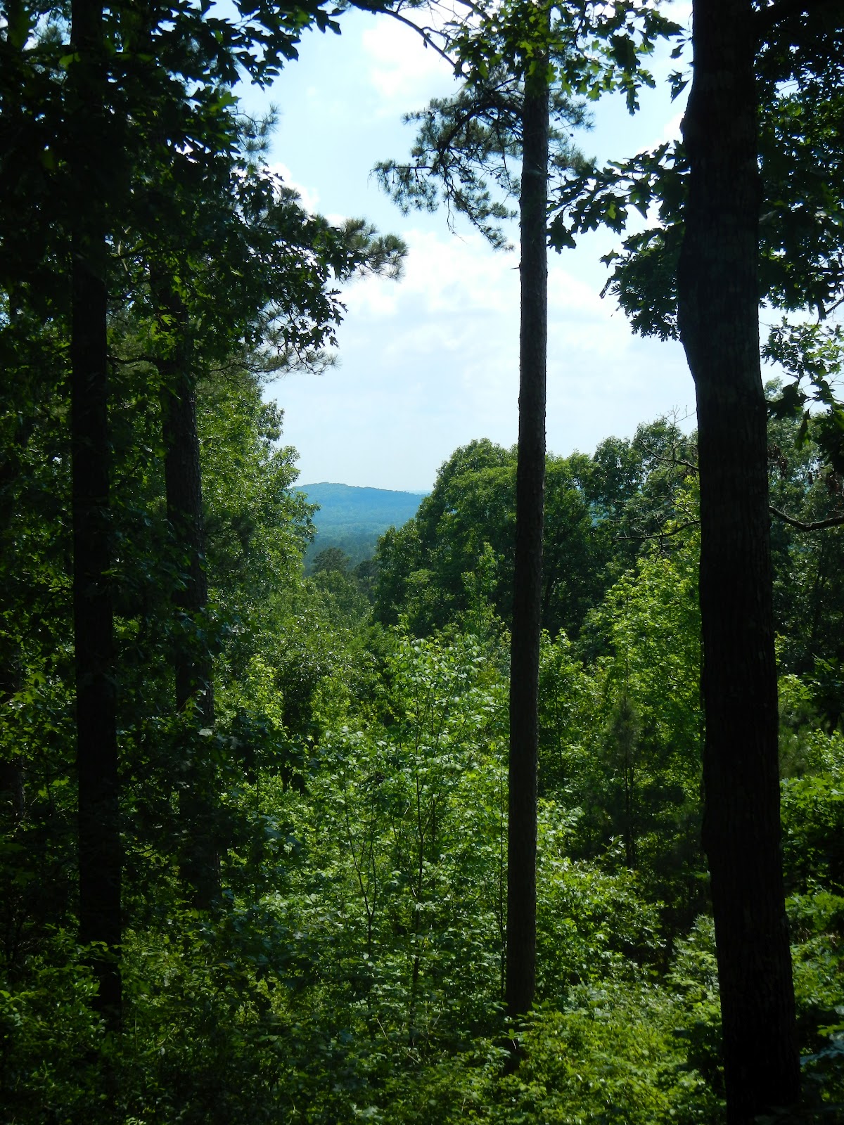 Driskill Mountain, LA